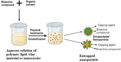 Nano-Antibacterials Using Medicinal Plant Components: An Overview